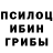 Псилоцибиновые грибы Magic Shrooms Dr_ Blunt