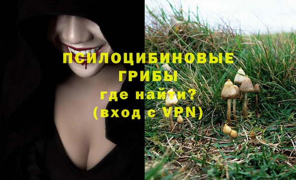 мяу мяу мука Нягань