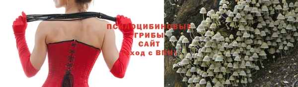 бутират Нязепетровск