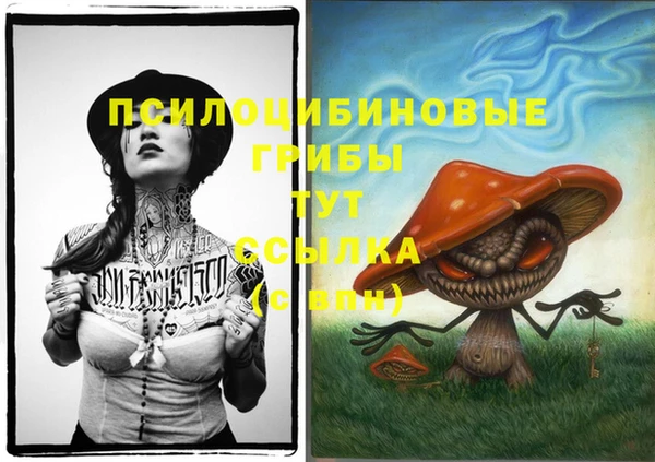 бутират Нязепетровск