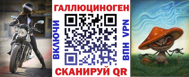 Купить  Касли  Галлюциногенные грибы Psilocybe 